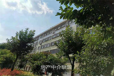 出售泰安泮河小镇2室2厅1卫99平豪华装修